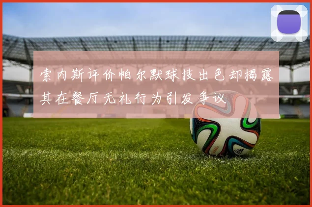 索内斯评价帕尔默球技出色却揭露其在餐厅无礼行为引发争议